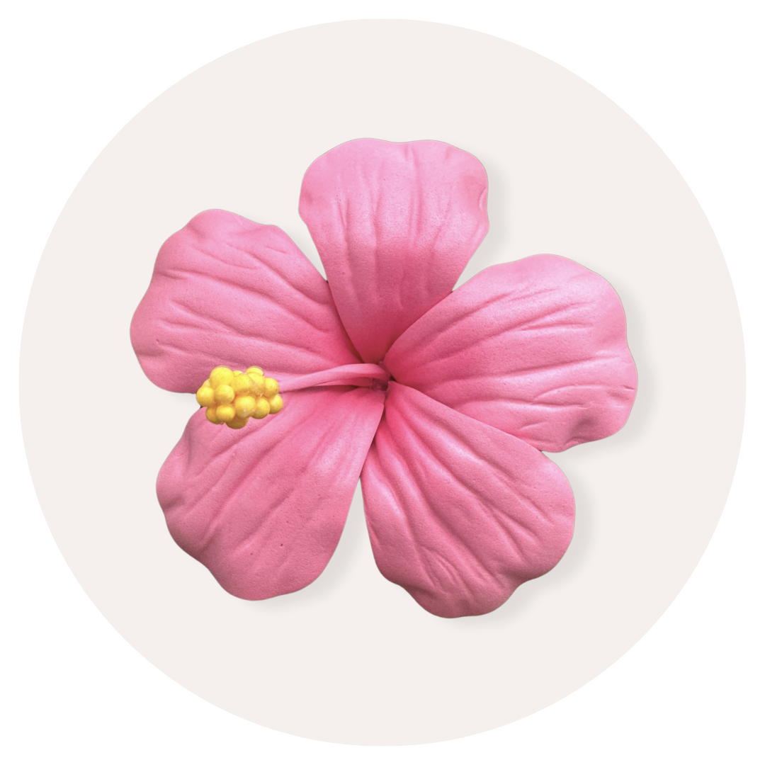 Hibiscus Sei (Pink, 9-10cm)