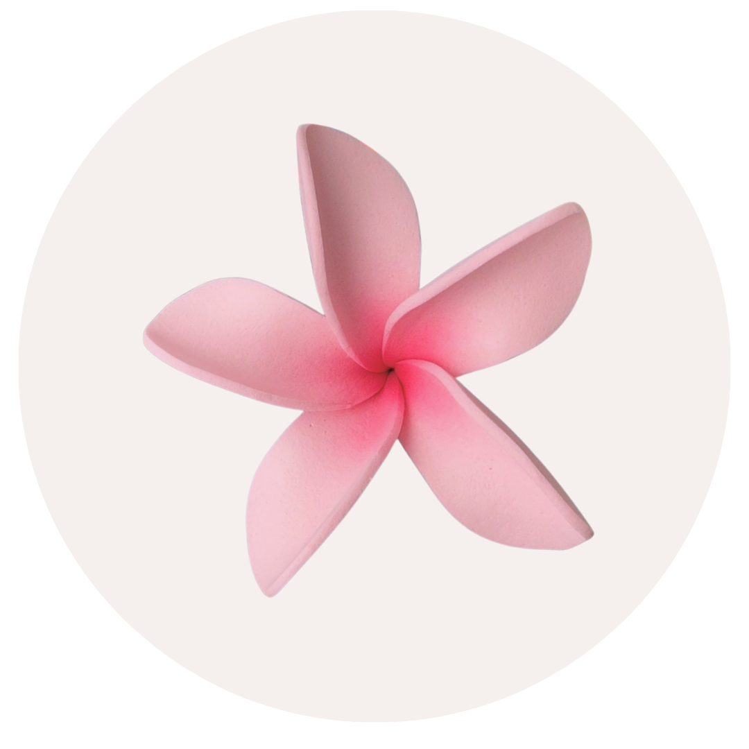 Pink Plumeria Sei (7-8cm)