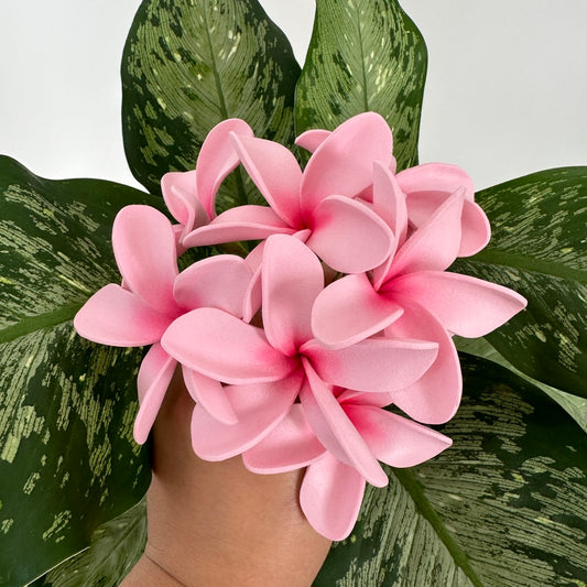 Pink Plumeria Sei (7-8cm)