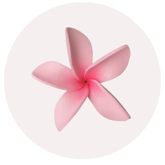 Pink Plumeria Sei (7-8cm)