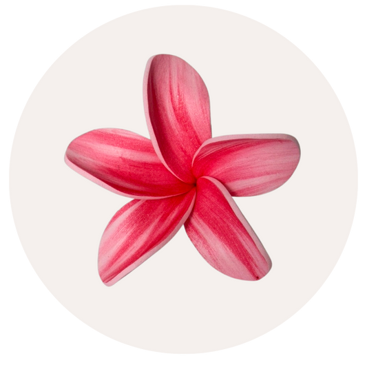 Pink Handpainted Plumeria Sei (7-8cm)