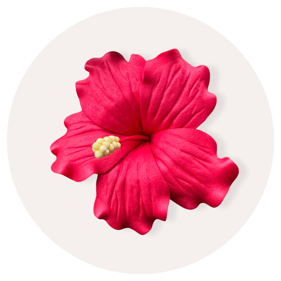 Red Hibiscus Sei (9-10cm)
