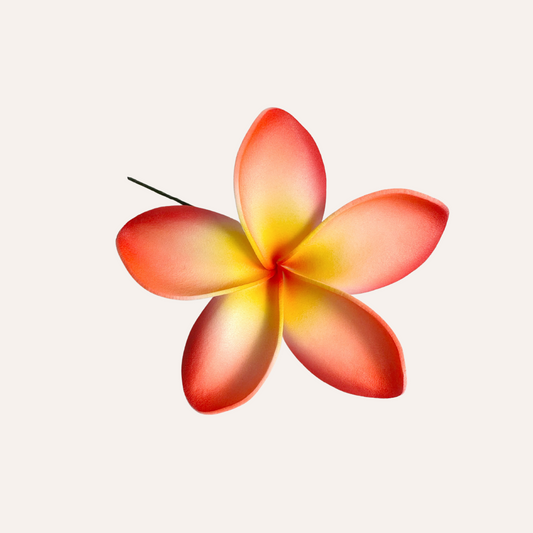 Frangipani Sei (Bright Orange)