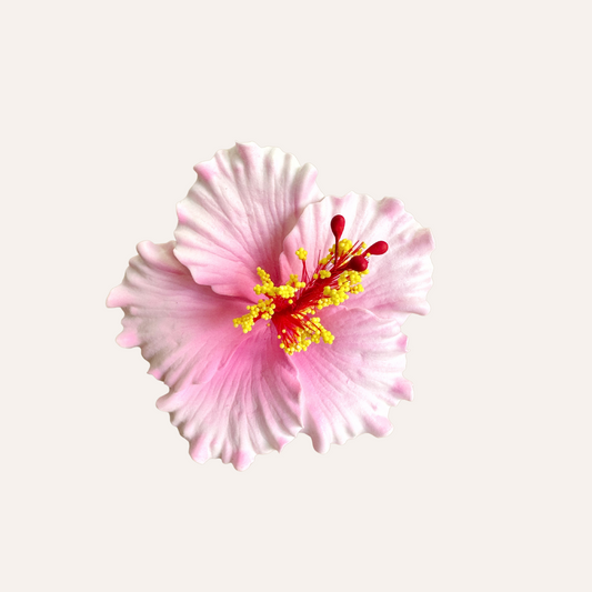 Hibiscus Sei (Pink)