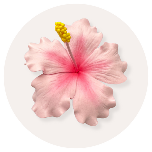 Pink Hibiscus Sei (10-11cm)