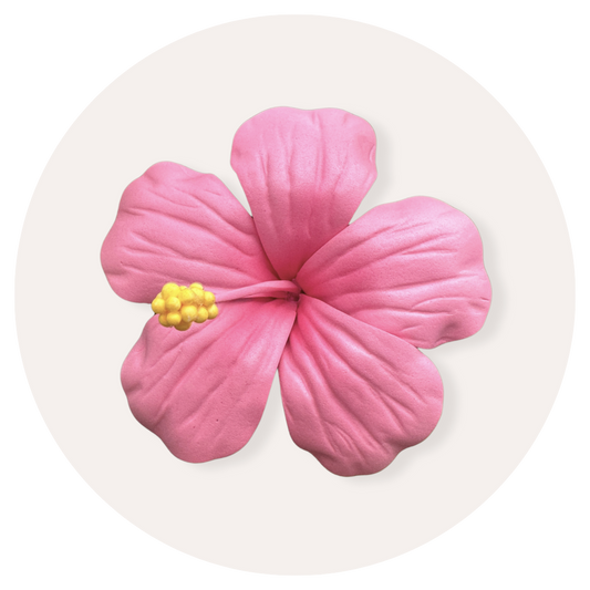 Hibiscus Sei (Pink, 9-10cm)
