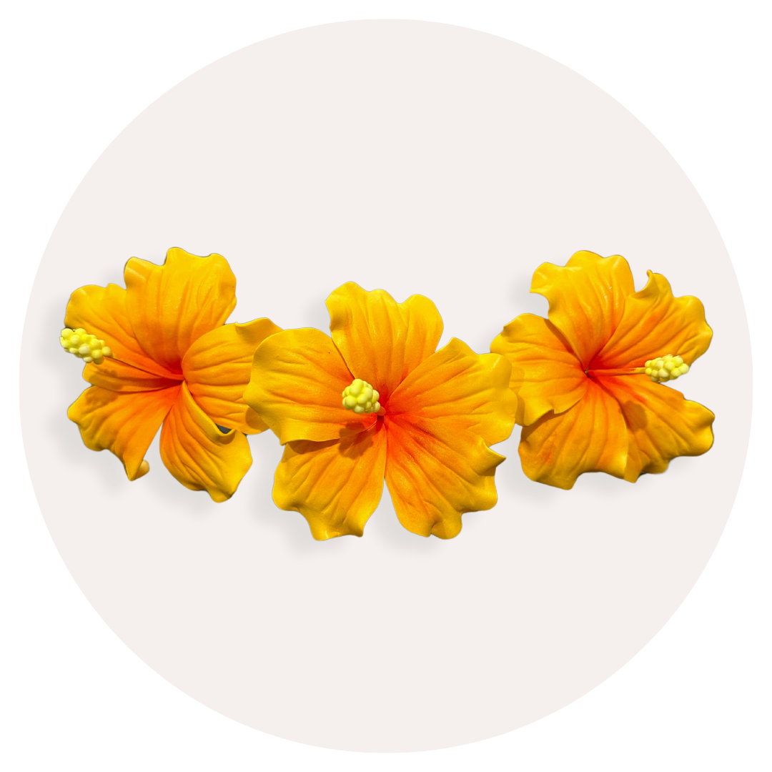 Orange Hibiscus Sei (9-10cm)