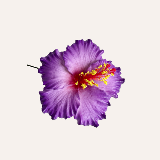 Hibiscus Sei (Purple)