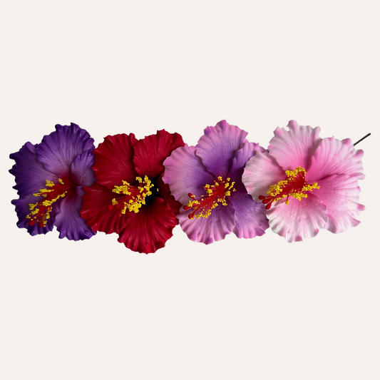 Hibiscus Sei (Purple)