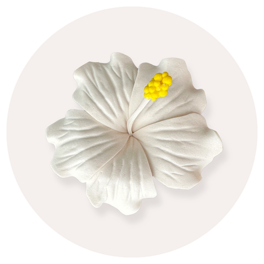 White Hibiscus Sei (8-9cm)