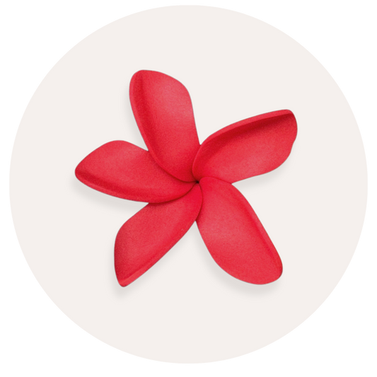 Red Plumeria Sei (8-9cm)
