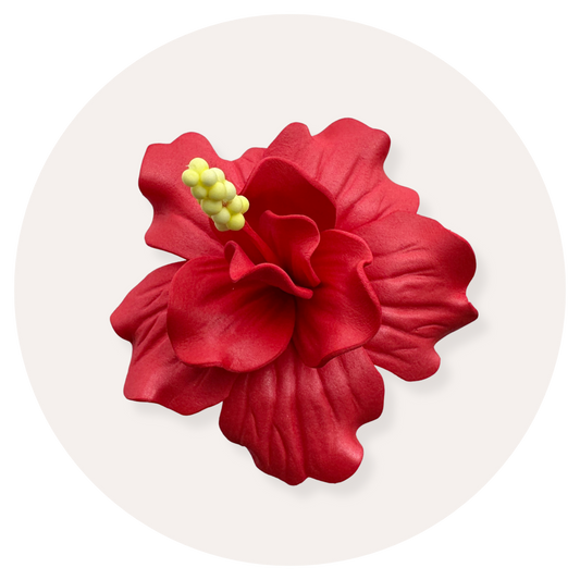 Red Double Hibiscus Sei (8.5-9cm)