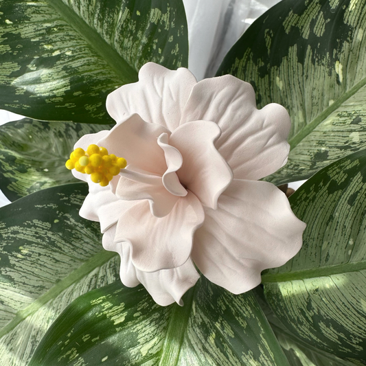 Double Hibiscus Sei (White, 8.5-9cm)