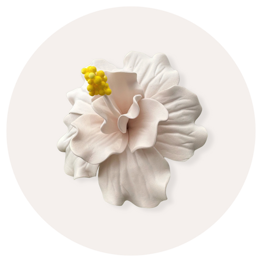 Double Hibiscus Sei (White, 8.5-9cm)