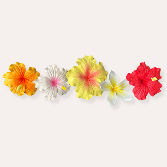 Yellow Hibiscus Sei (10-11cm)