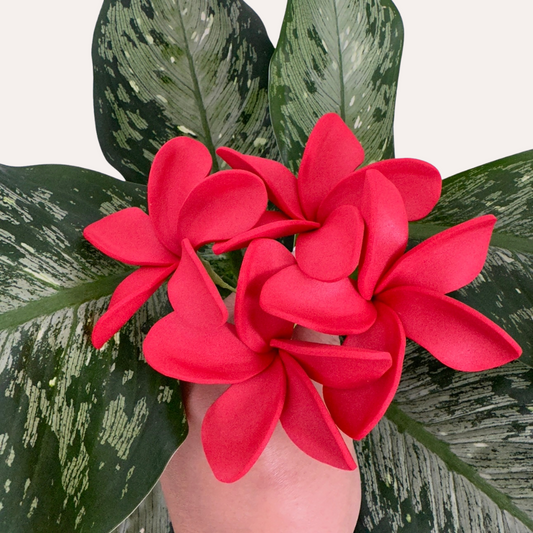 Red Plumeria Sei (8-9cm)