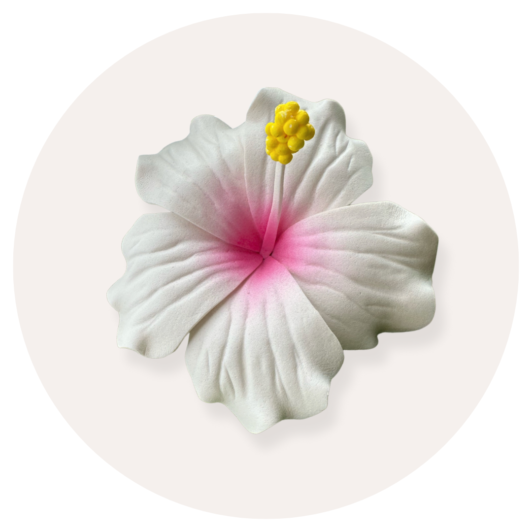 Artificial foam hibiscus flower (white with pink centre and yellow pollen) with beige background 