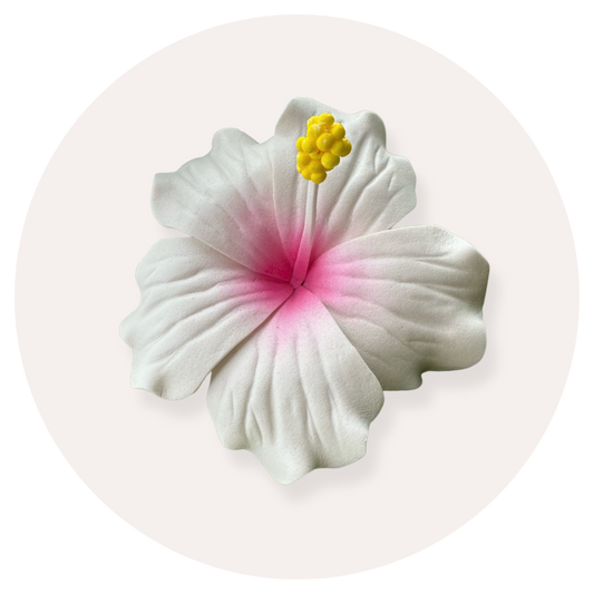 Artificial foam hibiscus flower (white with pink centre and yellow pollen) with beige background 