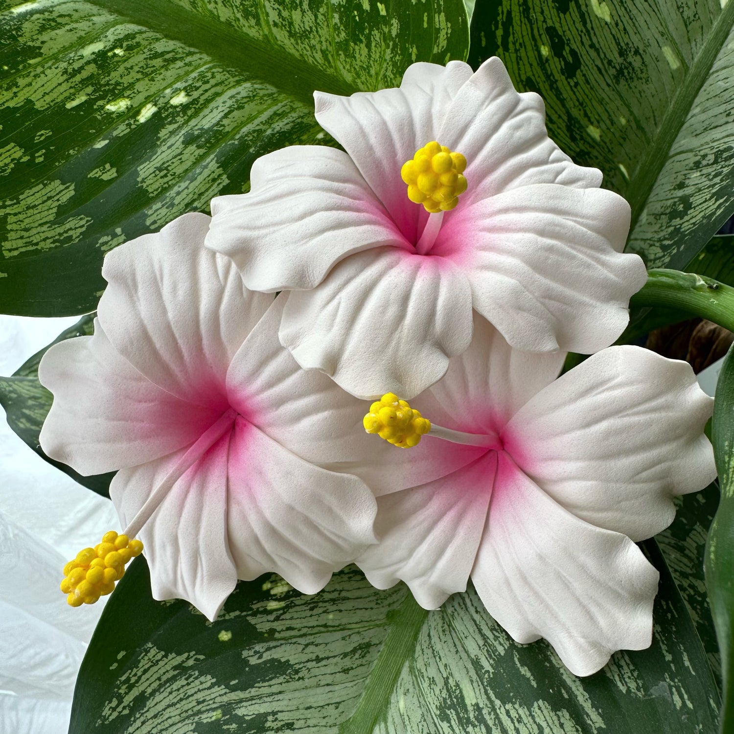 3 artificial foam hibiscus flowers (white with pink centre and yellow pollen) with green foliage in the background 