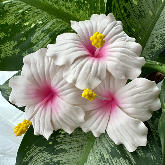 3 artificial foam hibiscus flowers (white with pink centre and yellow pollen) with green foliage in the background 